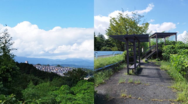 休日の過ごし方